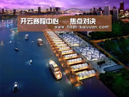 案例展示八