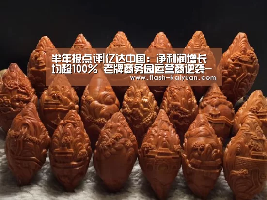 半年报点评|亿达中国:净利润增长均超100% 老牌商务园运营商逆袭-开元体育app(图1) 开云体育官网