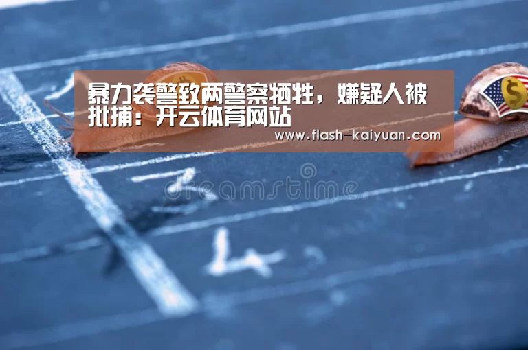 暴力袭警致两警察牺牲,嫌疑人被批捕:开云体育网站(图1) 开元体育app