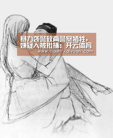 暴力袭警致两警察牺牲,嫌疑人被批捕:开云体育网站(图2) 开元体育app