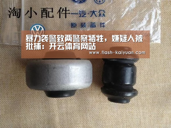 暴力袭警致两警察牺牲,嫌疑人被批捕:开云体育网站(图3) 开元体育