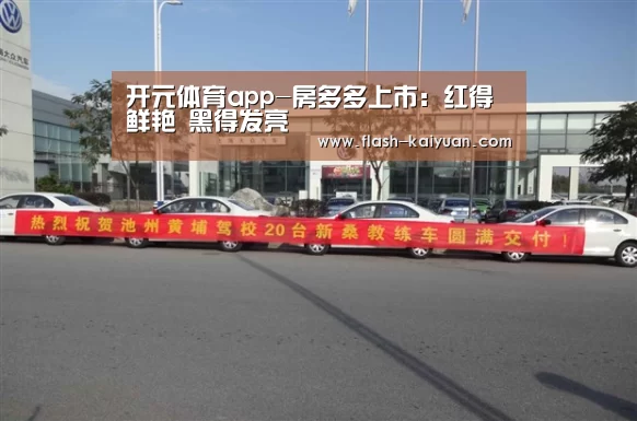 开元体育app-房多多上市:红得鲜艳 黑得发亮(图4) 开元体育app