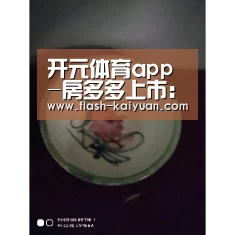 开元体育app-房多多上市:红得鲜艳 黑得发亮(图2) 开元体育app
