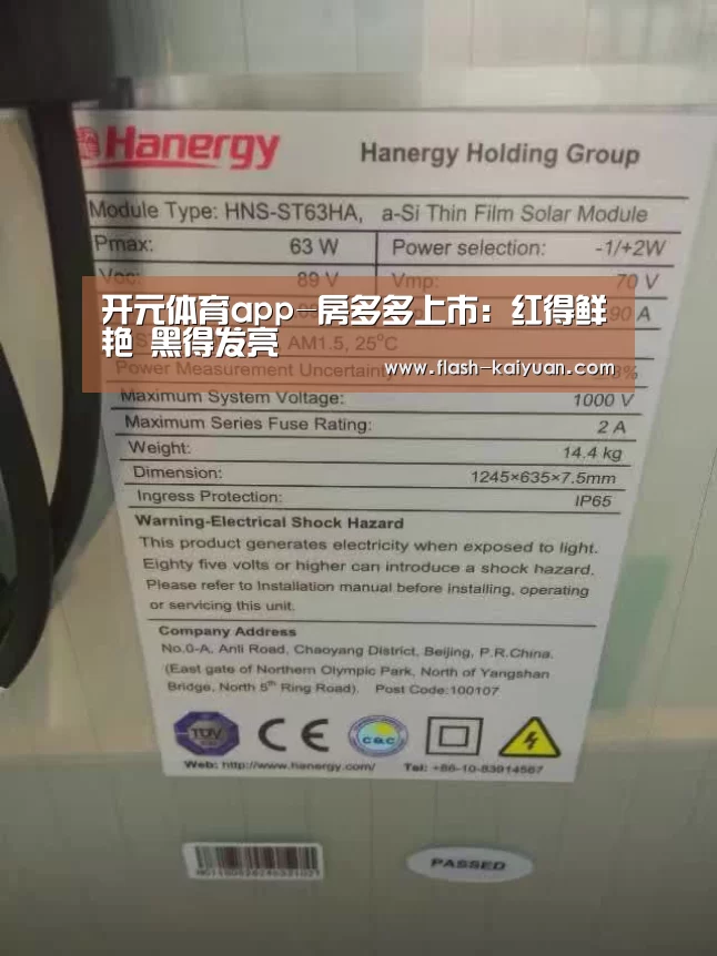 开元体育app-房多多上市:红得鲜艳 黑得发亮(图3) 开元体育