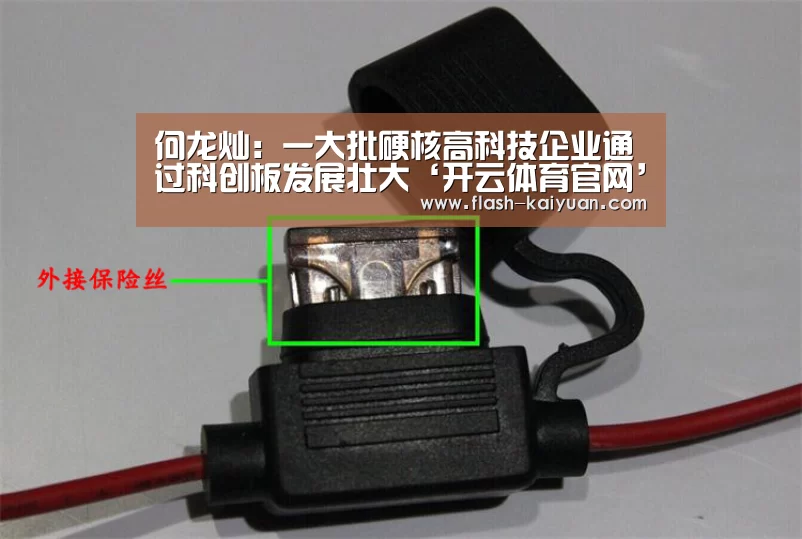 何龙灿:一大批硬核高科技企业通过科创板发展壮大‘开云体育官网’(图2) 开元体育