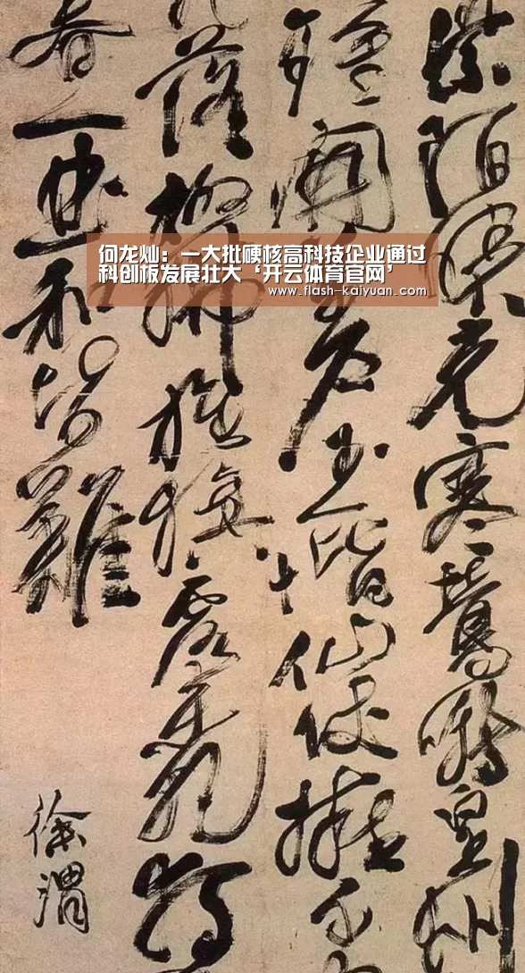 何龙灿:一大批硬核高科技企业通过科创板发展壮大‘开云体育官网’(图1) 开元体育app